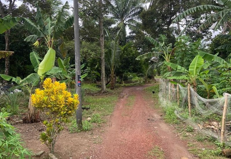 Kampung Parit Gantung Laut Parit Jawa Tanah 1.5 Ekar 