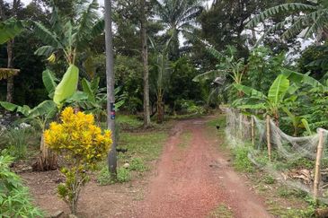 Kampung Parit Gantung Laut Parit Jawa Tanah 1.5 Ekar 