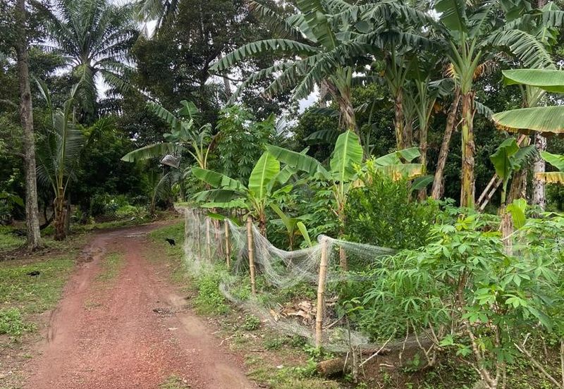 Kampung Parit Gantung Laut Parit Jawa Tanah 1.5 Ekar 