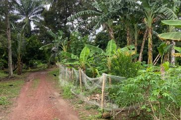 Kampung Parit Gantung Laut Parit Jawa Tanah 1.5 Ekar 