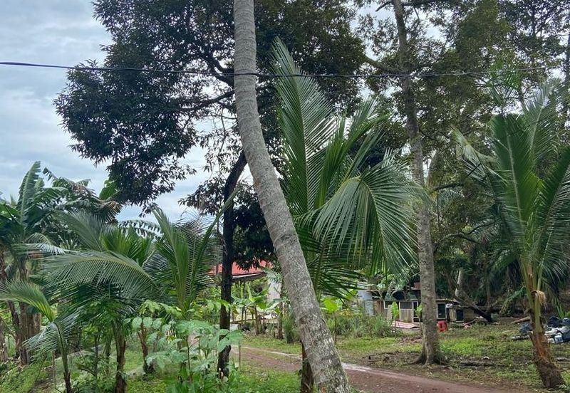 Kampung Parit Gantung Laut Parit Jawa Tanah 1.5 Ekar 