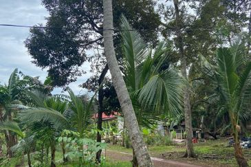 Kampung Parit Gantung Laut Parit Jawa Tanah 1.5 Ekar 