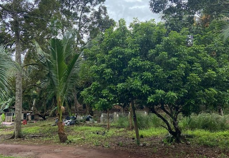 Kampung Parit Gantung Laut Parit Jawa Tanah 1.5 Ekar 