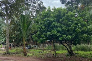 Kampung Parit Gantung Laut Parit Jawa Tanah 1.5 Ekar 