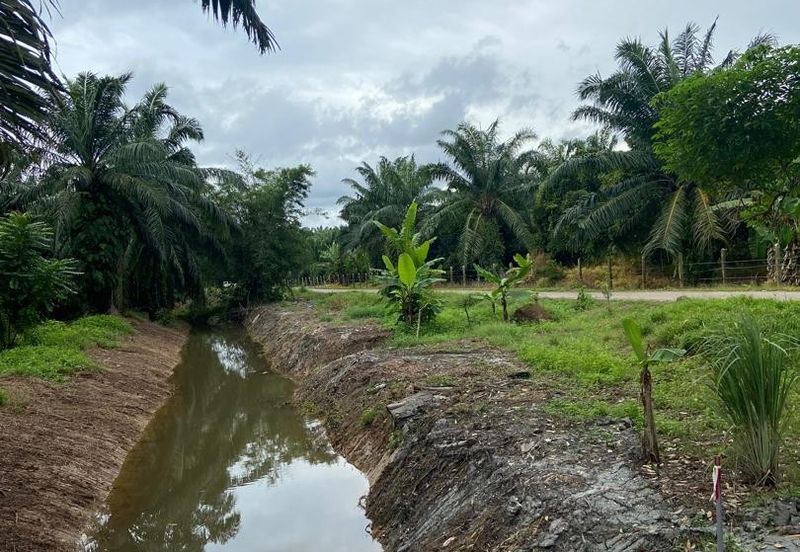 Kampung Parit Gantung Laut Parit Jawa Tanah 1.5 Ekar 