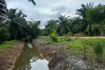Kampung Parit Gantung Laut Parit Jawa Tanah 1.5 Ekar 