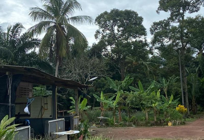 Kampung Parit Gantung Laut Parit Jawa Tanah 1.5 Ekar 