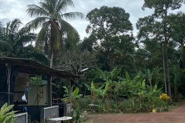 Kampung Parit Gantung Laut Parit Jawa Tanah 1.5 Ekar 