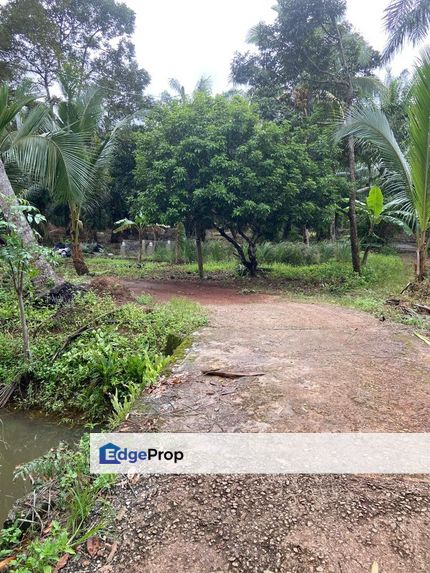 Kampung Parit Gantung Laut Parit Jawa Tanah 1.5 Ekar , Johor, Muar