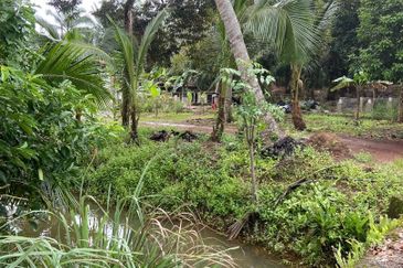 Kampung Parit Gantung Laut Parit Jawa Tanah 1.5 Ekar 