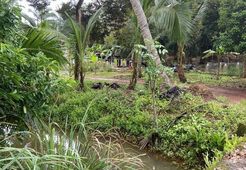 Kampung Parit Gantung Laut Parit Jawa Tanah 1.5 Ekar 