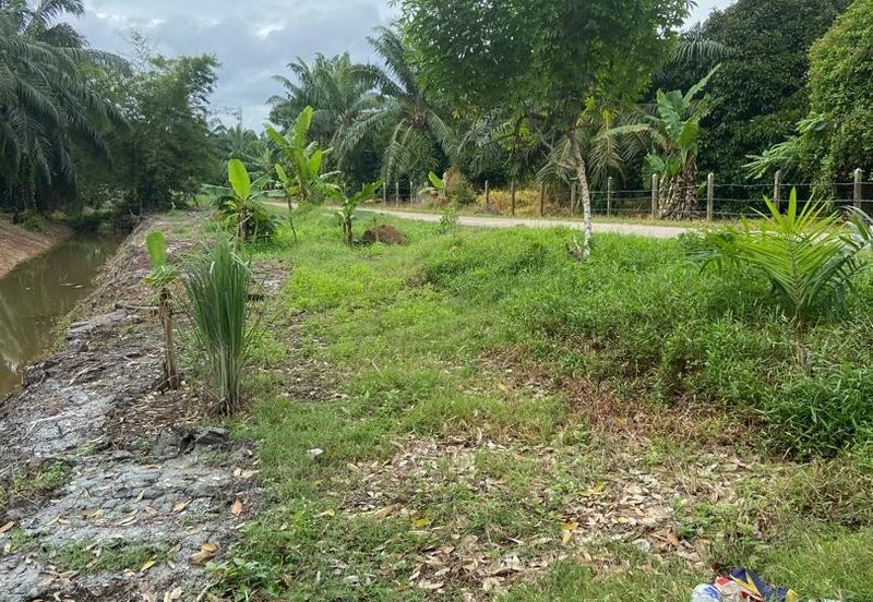 Kampung Parit Gantung Laut Parit Jawa Tanah 1.5 Ekar 