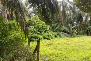 Kampung Parit Gantung Laut Parit Jawa Tanah 1.5 Ekar 