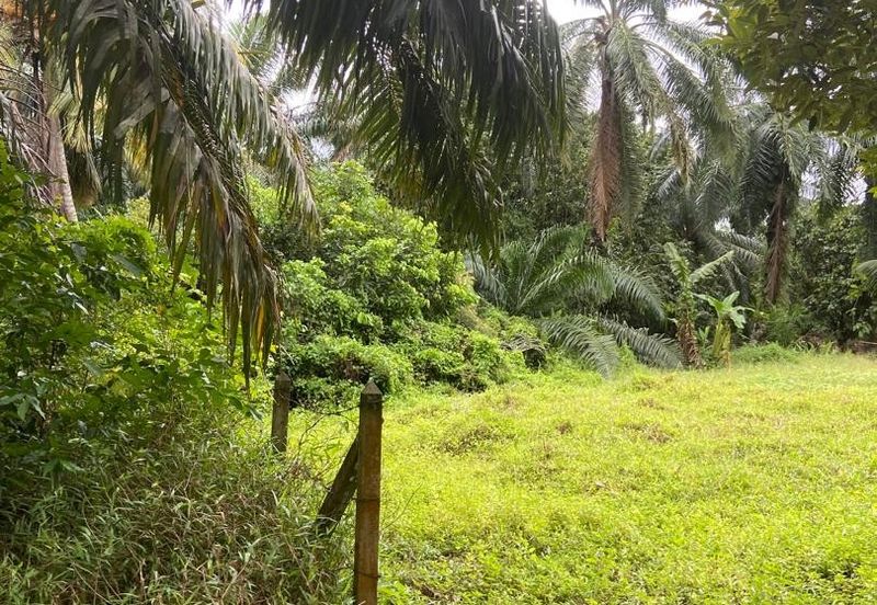Kampung Parit Gantung Laut Parit Jawa Tanah 1.5 Ekar 