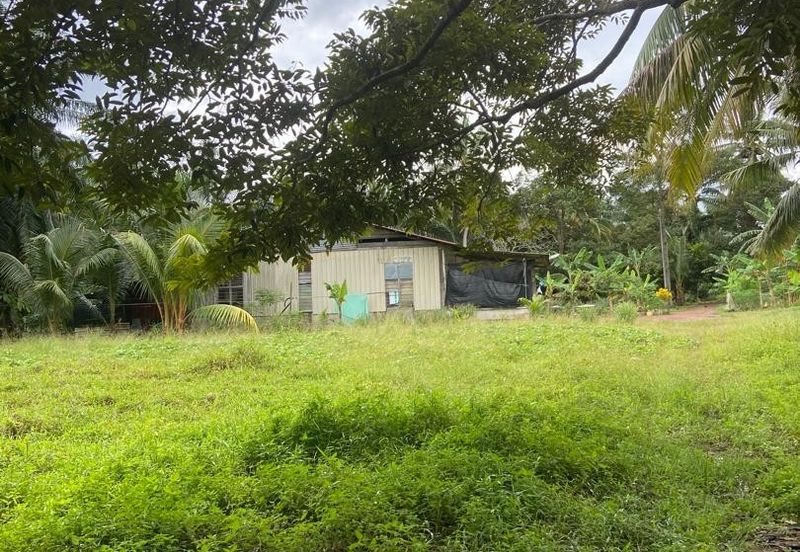 Kampung Parit Gantung Laut Parit Jawa Tanah 1.5 Ekar 