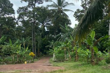 Kampung Parit Gantung Laut Parit Jawa Tanah 1.5 Ekar 