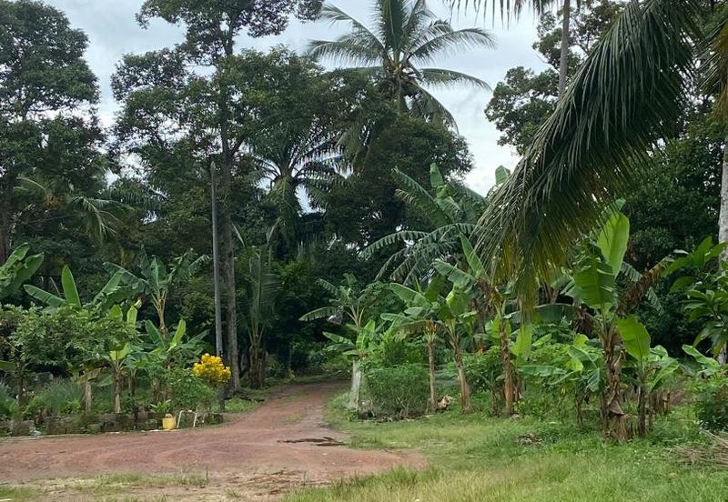 Kampung Parit Gantung Laut Parit Jawa Tanah 1.5 Ekar 