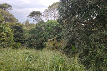 Tanah Di Banang Jaya Batu Pahat Tanah 1 Ekar Ber