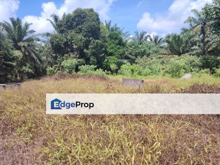 Kampung Parit  Lapis Berong Senggarang Batu Pahat Tanah 1.334 Ekar, Johor, Senggarang