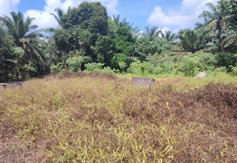 Kampung Parit  Lapis Berong Senggarang Batu Pahat Tanah 1.334 Ekar