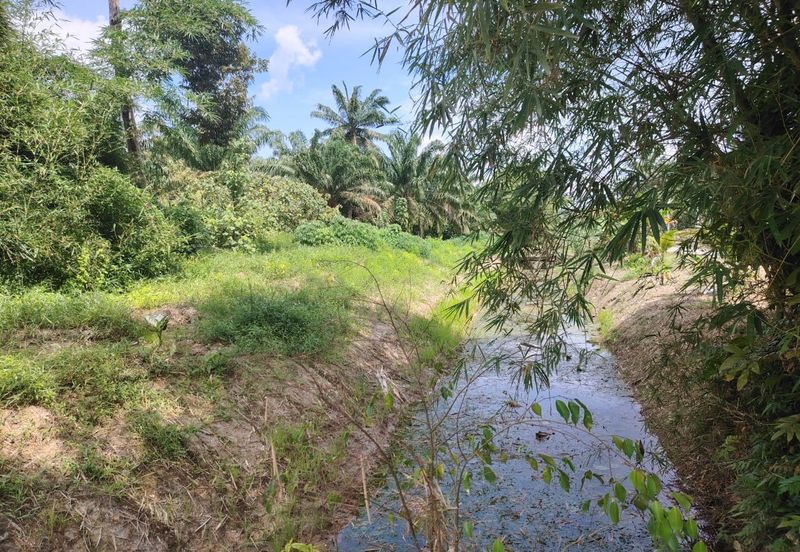 Kampung Parit  Lapis Berong Senggarang Batu Pahat Tanah 1.334 Ekar