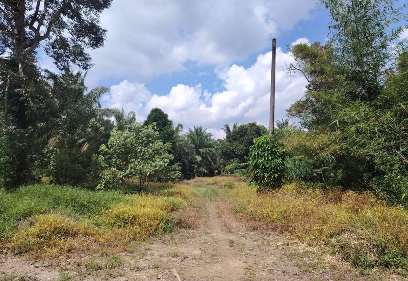 Kampung Parit  Lapis Berong Senggarang Batu Pahat Tanah 1.334 Ekar