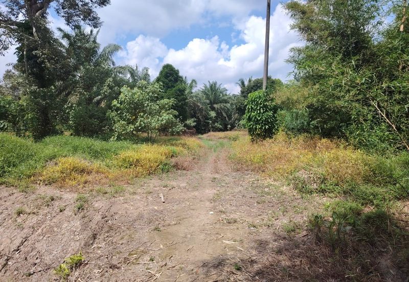 Kampung Parit  Lapis Berong Senggarang Batu Pahat Tanah 1.334 Ekar