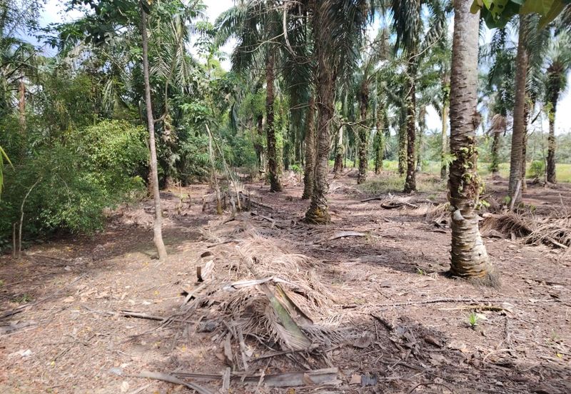 kampung Parit Lapis Semarang Darat Parit Raja Tanah !.8 Ekar
