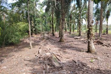 kampung Parit Lapis Semarang Darat Parit Raja Tanah !.8 Ekar