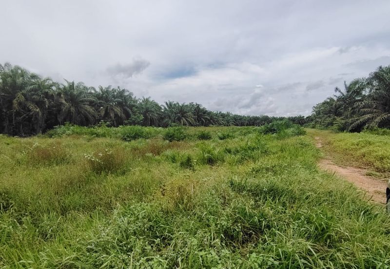 Kampung Parit Gantong Mukim 1 Semerah Batu Pahat Tanah seluas 2.5 Ekar