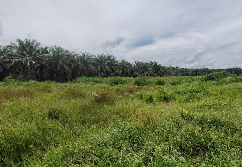 Kampung Parit Gantong Mukim 1 Semerah Batu Pahat Tanah seluas 2.5 Ekar