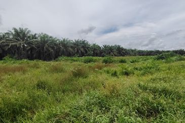 Kampung Parit Gantong Mukim 1 Semerah Batu Pahat Tanah seluas 2.5 Ekar