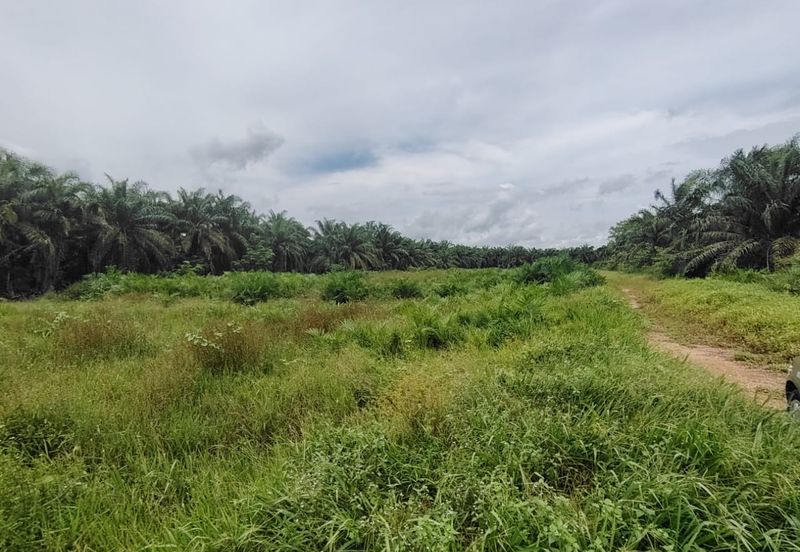 Kampung Parit Gantong Mukim 1 Semerah Batu Pahat Tanah seluas 2.5 Ekar