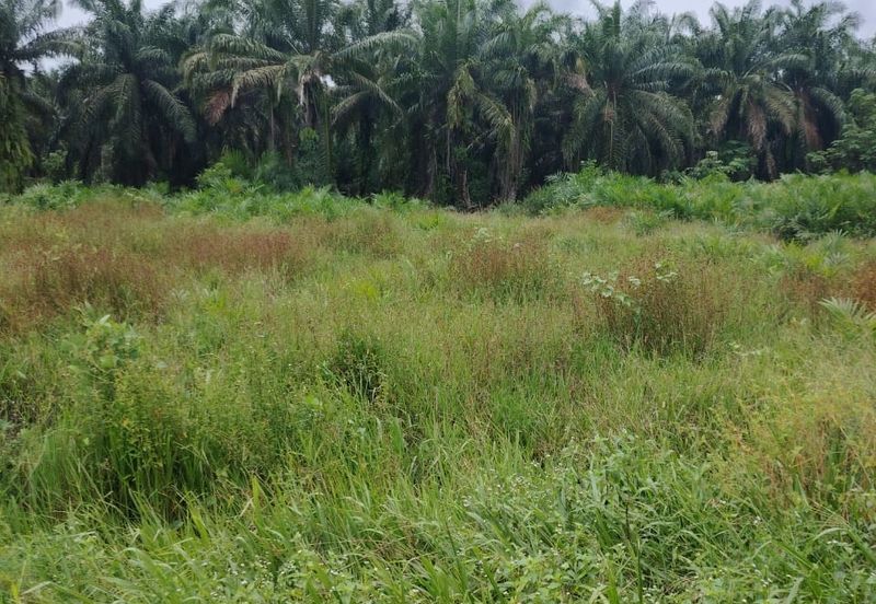 Kampung Parit Gantong Mukim 1 Semerah Batu Pahat Tanah seluas 2.5 Ekar