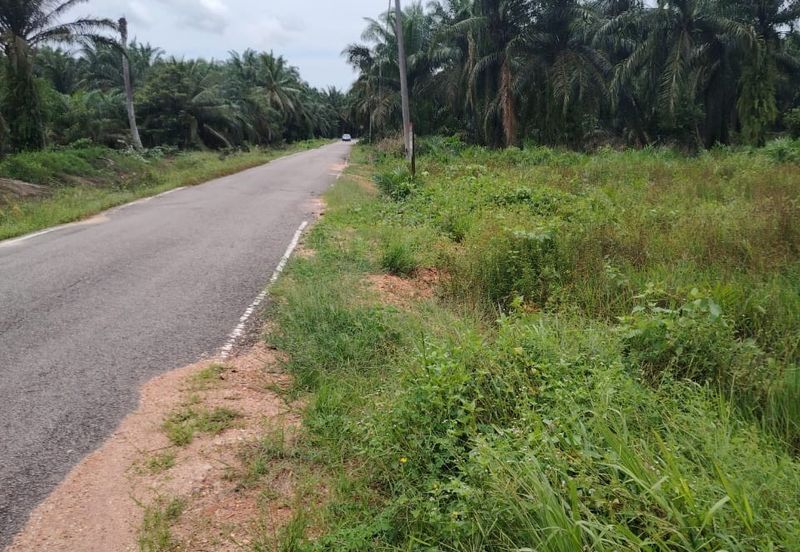 Kampung Parit Gantong Mukim 1 Semerah Batu Pahat Tanah seluas 2.5 Ekar