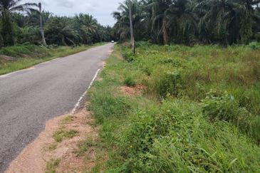 Kampung Parit Gantong Mukim 1 Semerah Batu Pahat Tanah seluas 2.5 Ekar