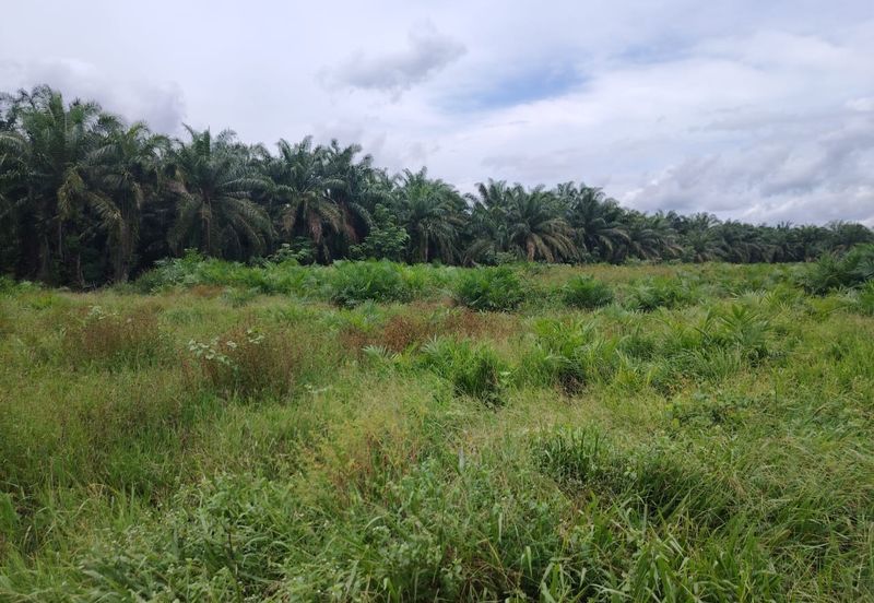 Kampung Parit Gantong Mukim 1 Semerah Batu Pahat Tanah seluas 2.5 Ekar