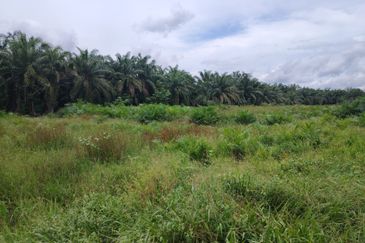 Kampung Parit Gantong Mukim 1 Semerah Batu Pahat Tanah seluas 2.5 Ekar