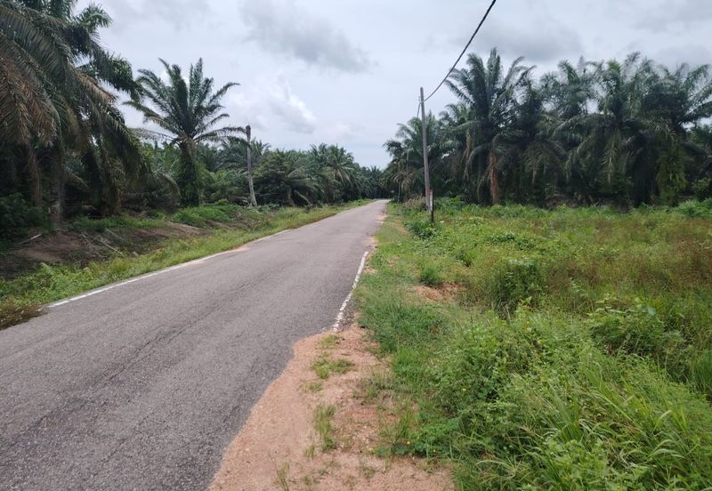 Kampung Parit Gantong Mukim 1 Semerah Batu Pahat Tanah seluas 2.5 Ekar