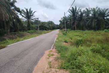 Kampung Parit Gantong Mukim 1 Semerah Batu Pahat Tanah seluas 2.5 Ekar