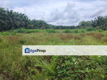 Kampung Parit Gantong Mukim 1 Semerah Batu Pahat Tanah seluas 2.5 Ekar, Johor, Batu Pahat