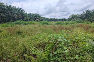 Kampung Parit Gantong Mukim 1 Semerah Batu Pahat Tanah seluas 2.5 Ekar