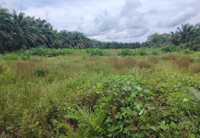 Kampung Parit Gantong Mukim 1 Semerah Batu Pahat Tanah seluas 2.5 Ekar