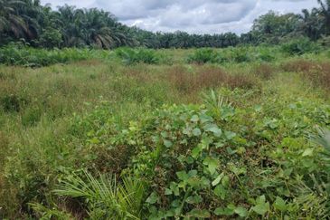 Kampung Parit Gantong Mukim 1 Semerah Batu Pahat Tanah seluas 2.5 Ekar