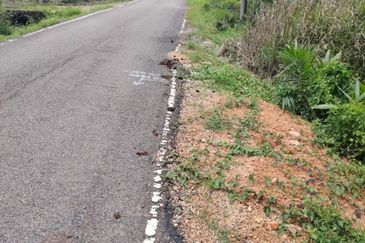 Kampung Parit Gantong Mukim 1 Semerah Batu Pahat Tanah seluas 2.5 Ekar