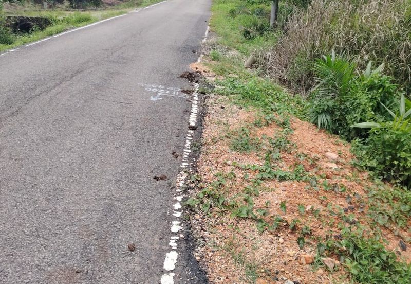 Kampung Parit Gantong Mukim 1 Semerah Batu Pahat Tanah seluas 2.5 Ekar