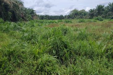 Kampung Parit Gantong Mukim 1 Semerah Batu Pahat Tanah seluas 2.5 Ekar