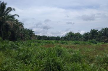 Kampung Parit Gantong Mukim 1 Semerah Batu Pahat Tanah seluas 2.5 Ekar