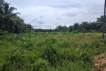 Kampung Parit Gantong Mukim 1 Semerah Batu Pahat Tanah seluas 2.5 Ekar