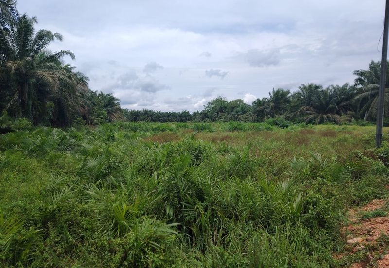 Kampung Parit Gantong Mukim 1 Semerah Batu Pahat Tanah seluas 2.5 Ekar